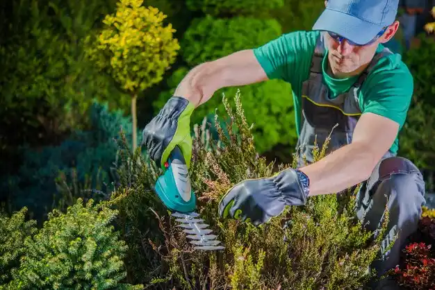 landscaping services Fair Grove